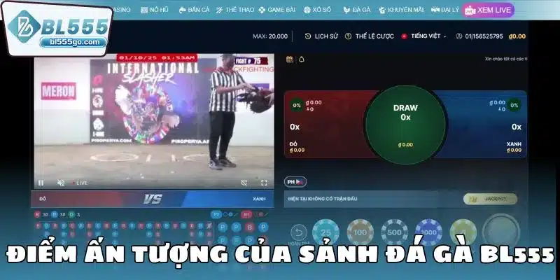 Đá Gà BL555 - Trực Tuyến 24/7, Cược Nhanh Thắng Lớn 1 sanh_da_ga_bl555