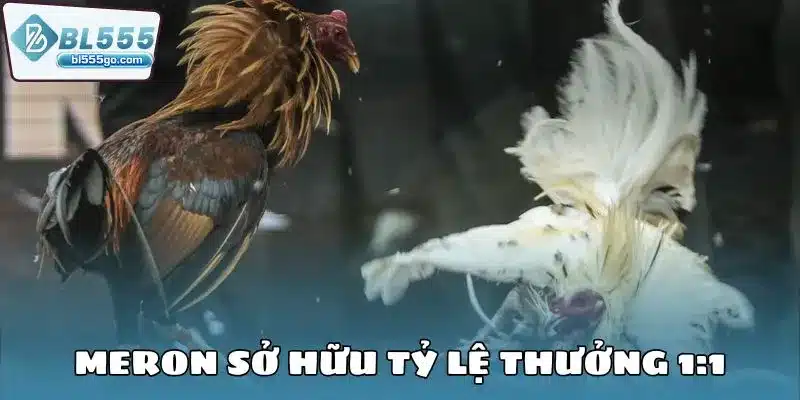 da_ga_bl555_sanh_meron