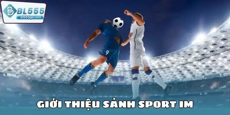 kinh-nghiem-ca-cuoc-im-gioi-thieu